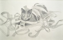 Miss Puss Thinks She is A Gift