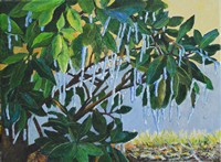 Drip Drip Drip (Ice in Florida)