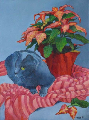 Miss Puss and the Poinsettia