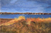 Salt Marsh