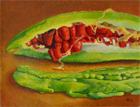 Genesis: Chinese Bitter Melon