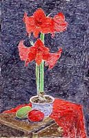 Amaryllis and Mangoes