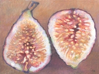 Genesis: Fig