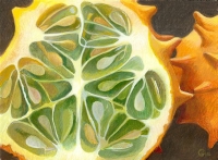 Genesis: Horned Melon