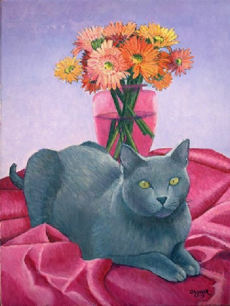 Miss Puss and the Gerbera Daisies