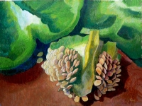 Genesis: Green Pepper