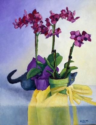 Miss Puss and the Orchids