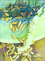 Genesis: Honeydew Melon