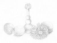 Lemons with a Decorative Bottle