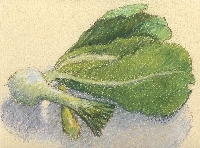 From Bonnie's Garden