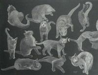 The Many Moods of Miss Puss